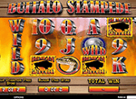 Blazin Buffalo