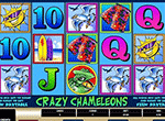 Crazy Chameleons