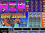 Zany Zebra