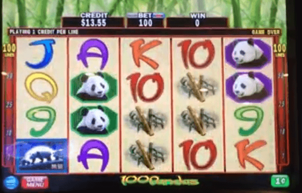 Slot 100 Pandas